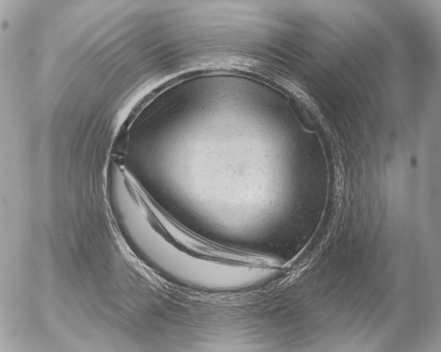 X0000052640936200507292301