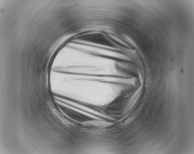 X0000052640940200507292302