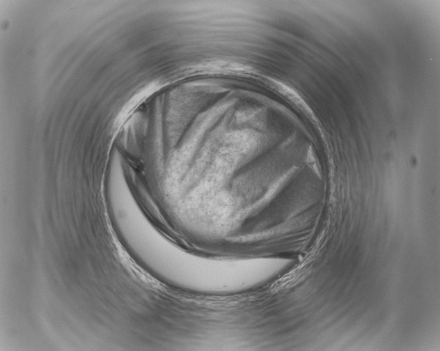 X0000052640946200507292302