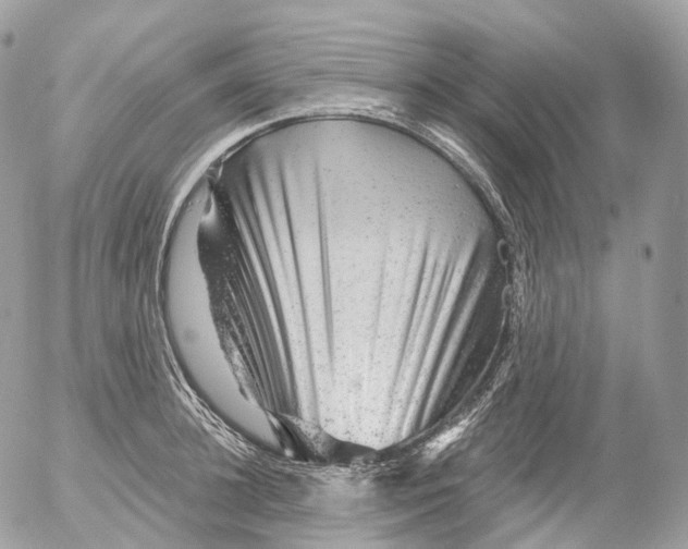 X0000052640948200507292302