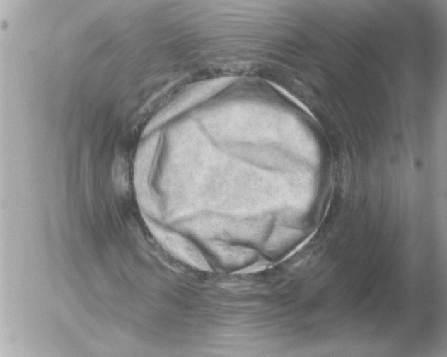 X0000052640962200507292301