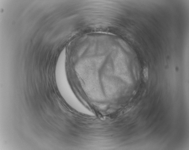 X0000052640963200507292301