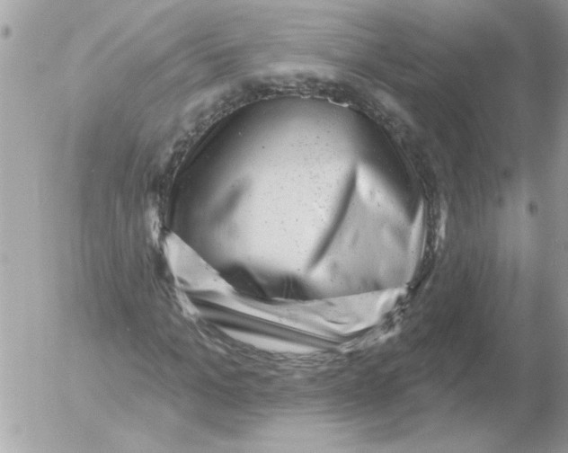X0000052640965200507292301