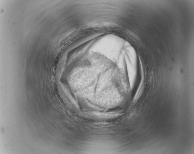 X0000052640966200507292301