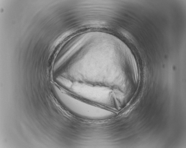 X0000052640970200507292301