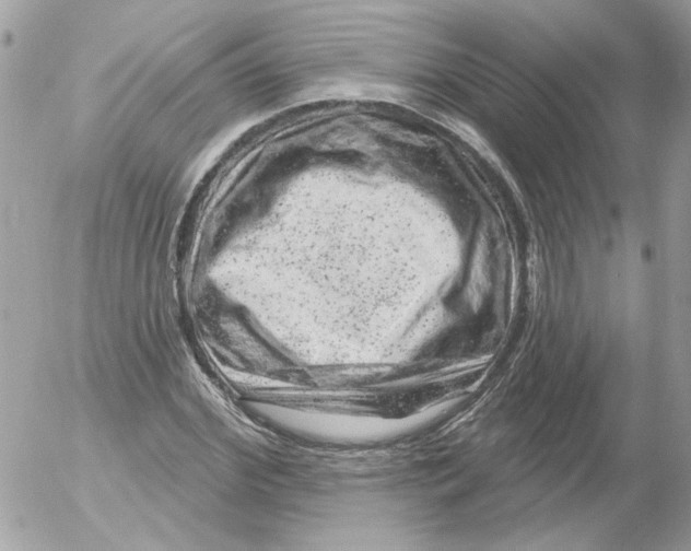 X0000052640972200507292301