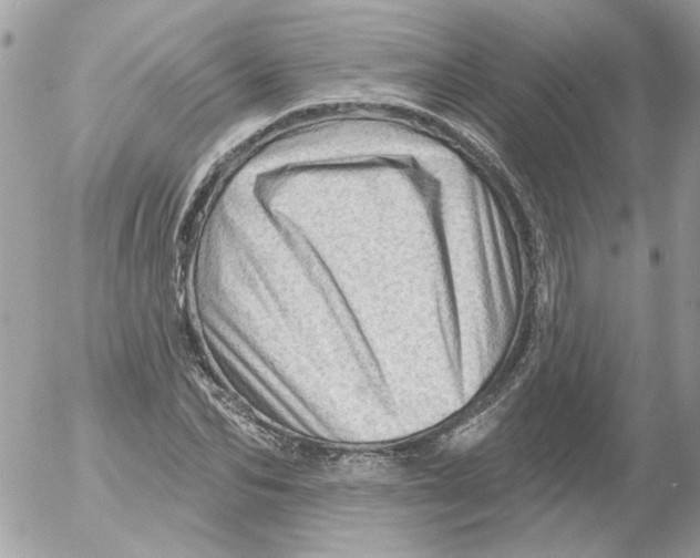 X0000052640974200507292301