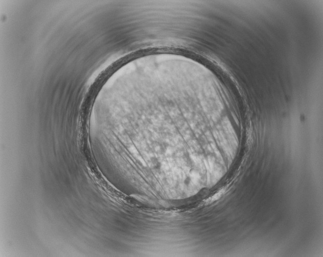 X0000052640975200507292301