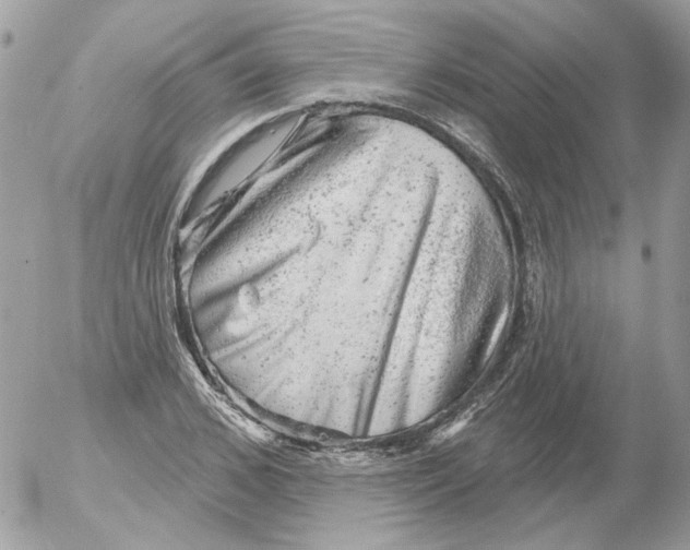 X0000052640976200507292301