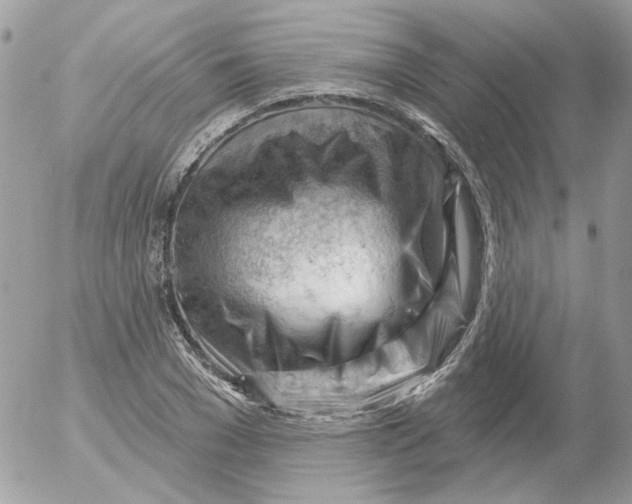 X0000052640977200507292301