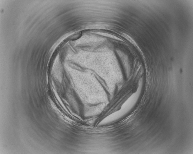 X0000052640980200507292301