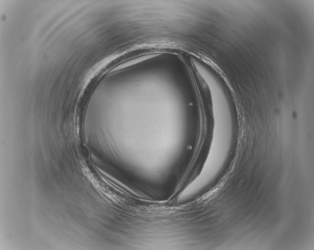 X0000052640981200507292301