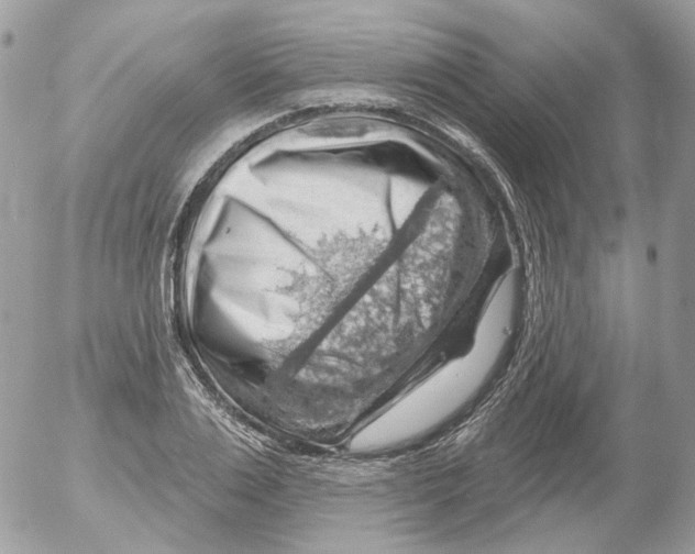 X0000052640983200507292301