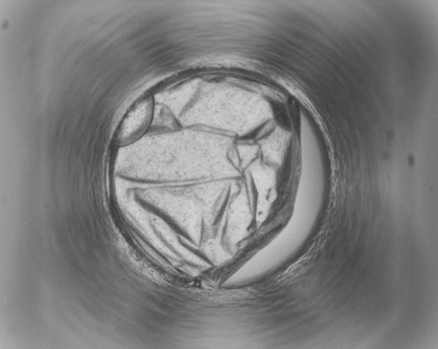 X0000052640984200507292301