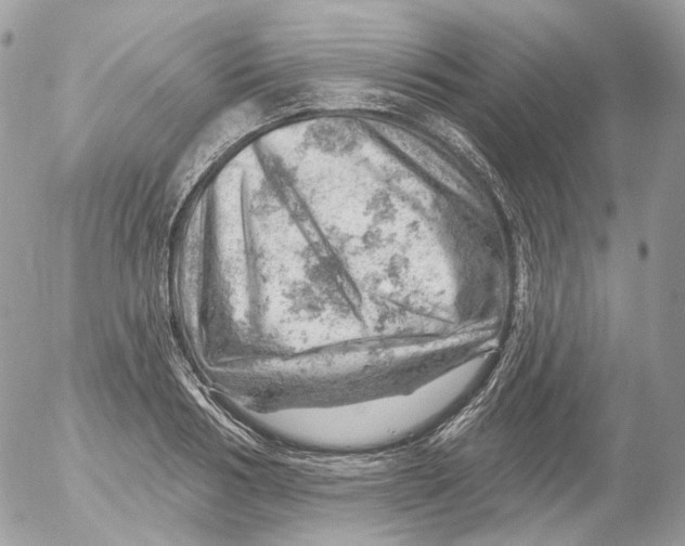 X0000052640986200507292301