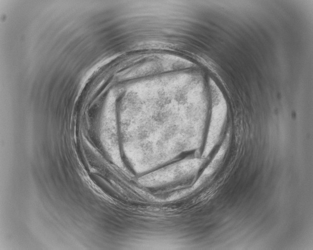 X0000052640987200507292301