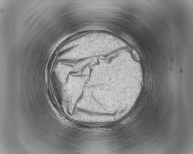 X0000052640988200507292301
