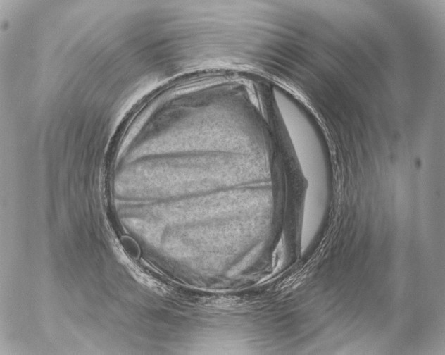 X0000052640991200507292301