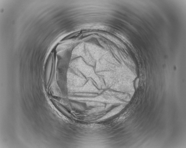 X0000052640992200507292301