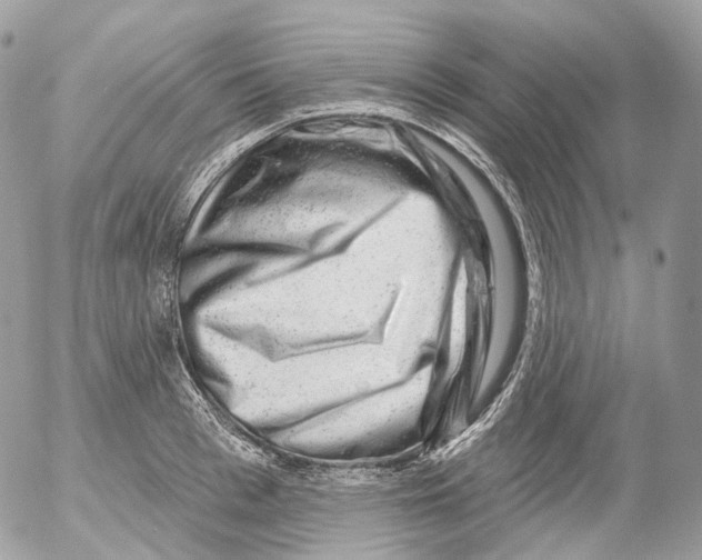 X0000052640993200507292301