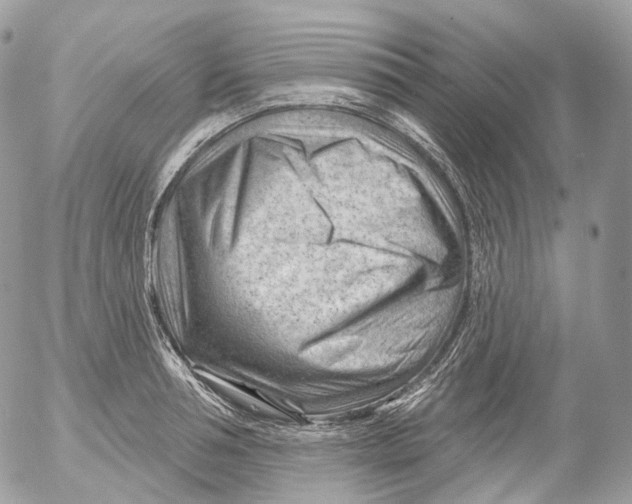 X0000052640994200507292301