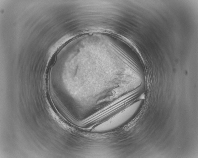 X0000052640995200507292300