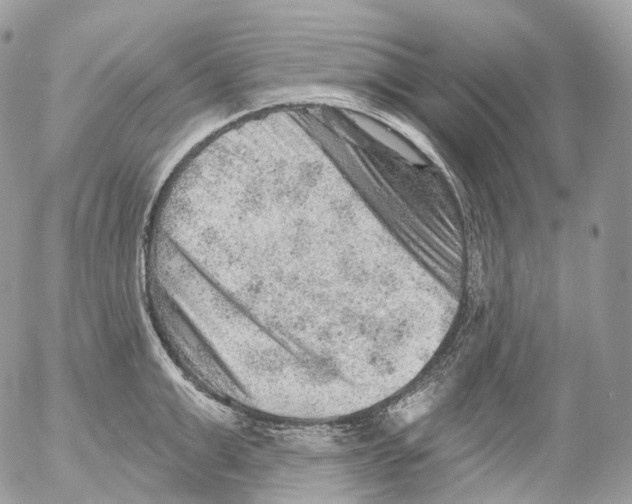 X0000052640999200507292300