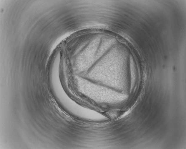 X0000052641022200507292300