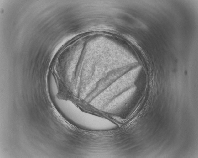 X0000052641032200507292300