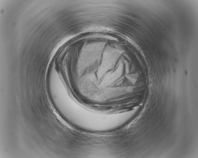 X0000052641037200507292300