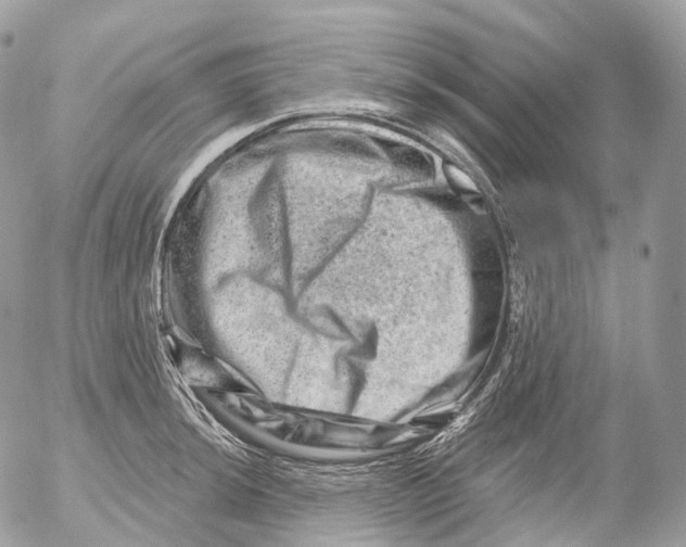 X0000052641044200507292300