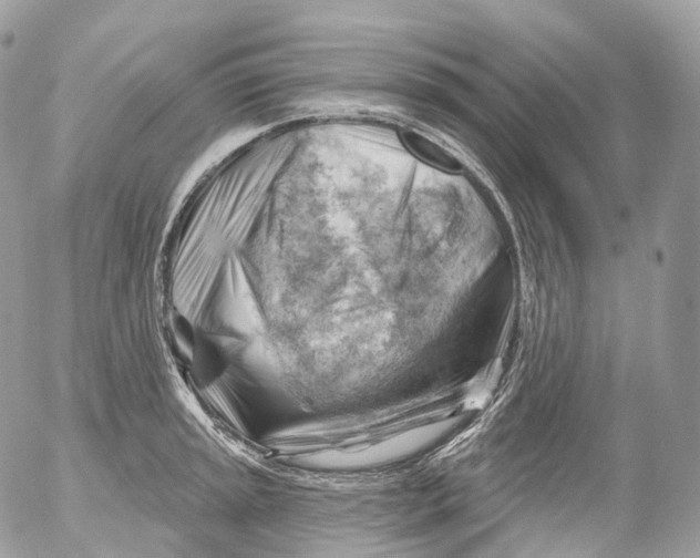 X0000052641045200507292300