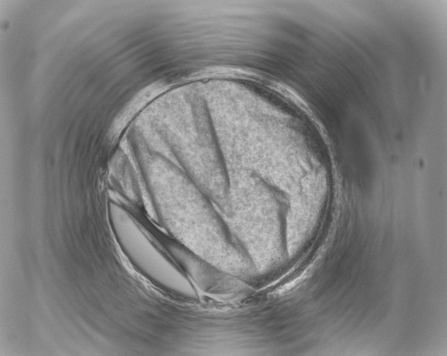 X0000052641049200507292300