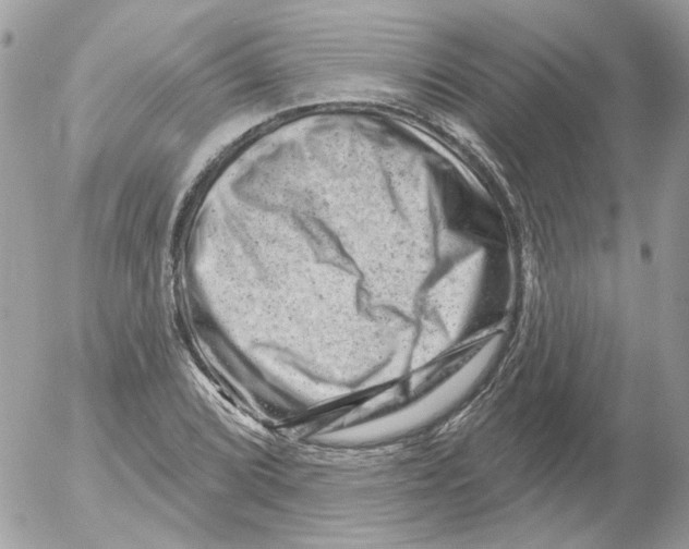 X0000052641072200507292259