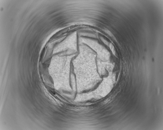 X0000052641076200507292259