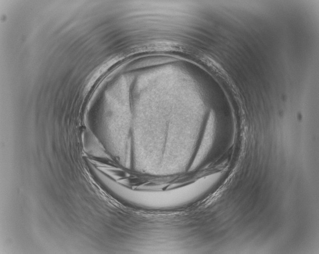 X0000052641081200507292259