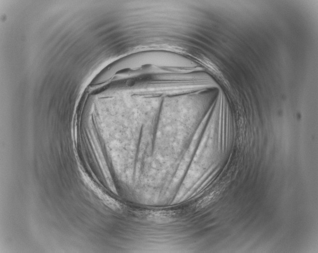 X0000052641084200507292259