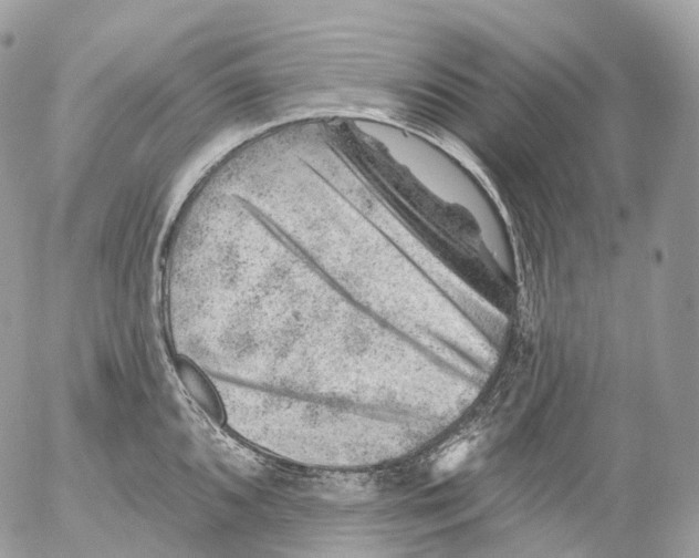 X0000052641096200507292259