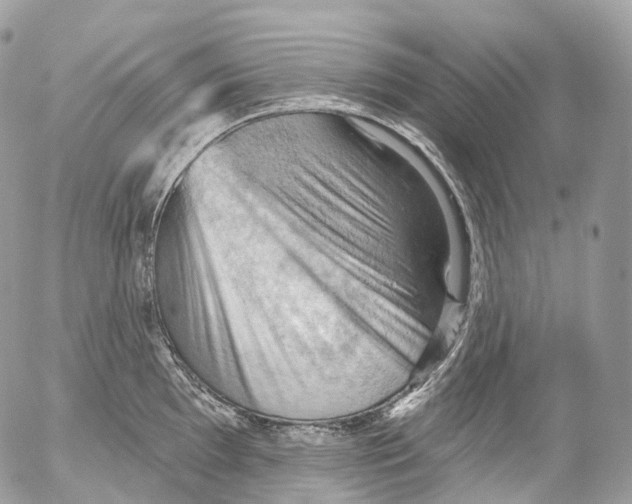 X0000052641097200507292259
