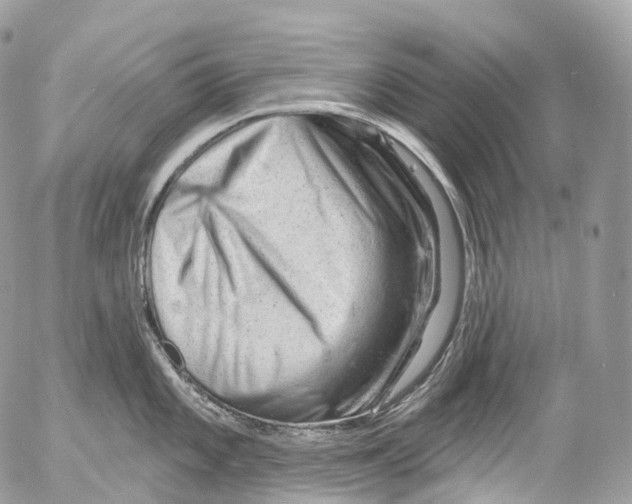 X0000052641101200507292259