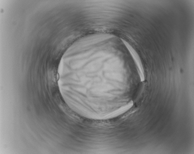 X0000052641106200507292258