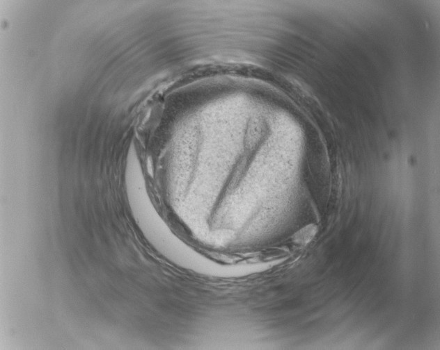 X0000052641110200507292258