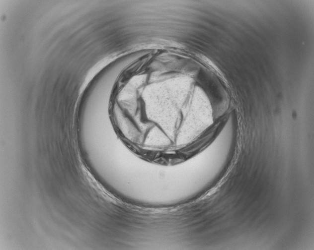 X0000052641122200507292258