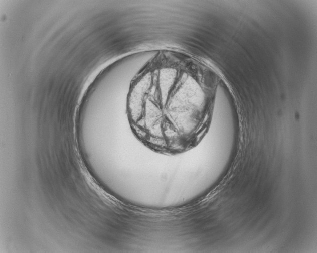 X0000052641124200507292258