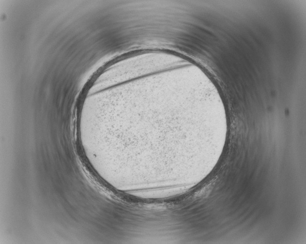 X0000052641126200507292258