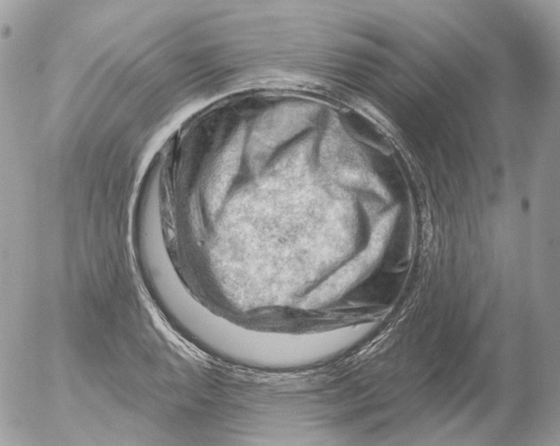 X0000052641128200507292258