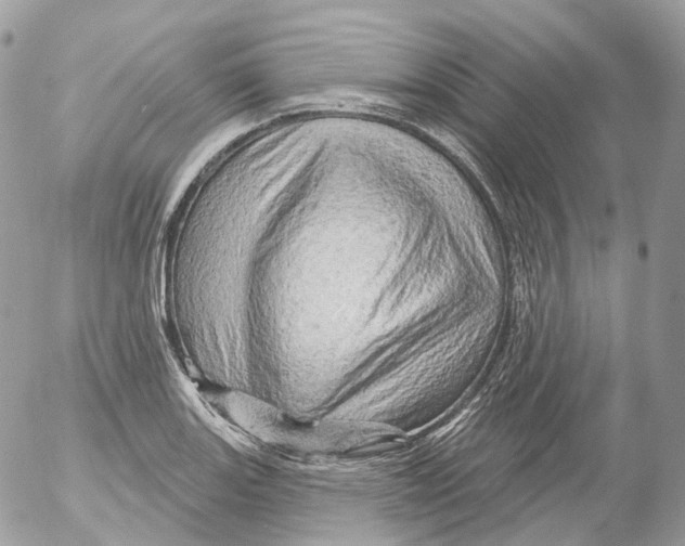 X0000052641131200507292258