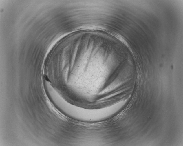 X0000052641132200507292258