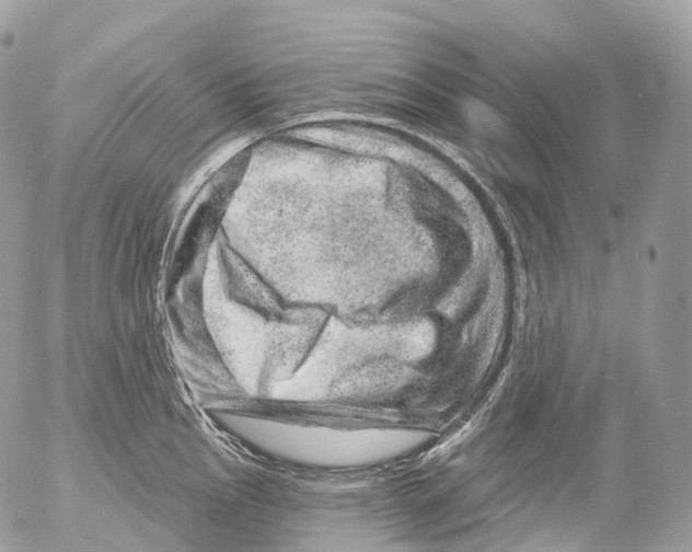 X0000052641145200507292259