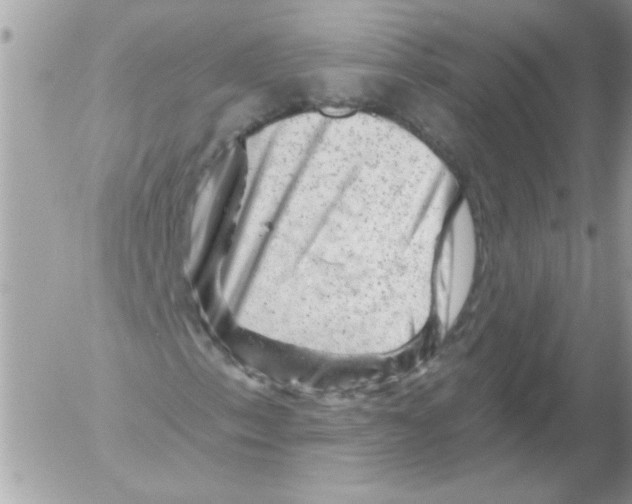 X0000052641153200507292258